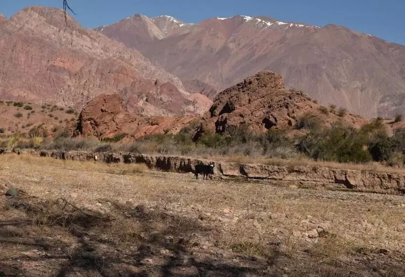 Hotelli Cabanas De Los Andes