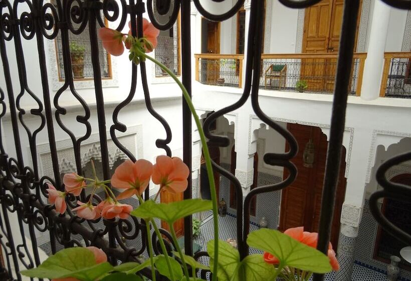 هتل Dar Al Safadi