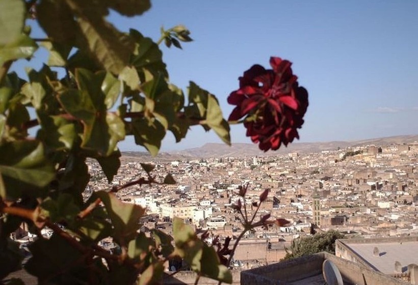 هتل Dar Al Safadi