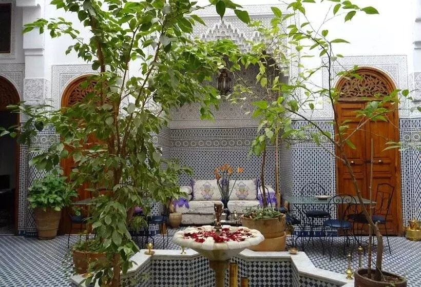 هتل Dar Al Safadi
