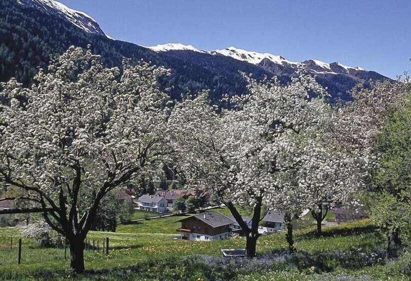 Отель Residence Rose