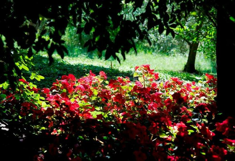 בית מלון כפרי Tannerhof