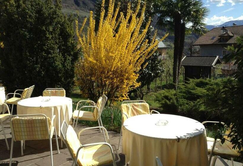 בית מלון כפרי Tannerhof