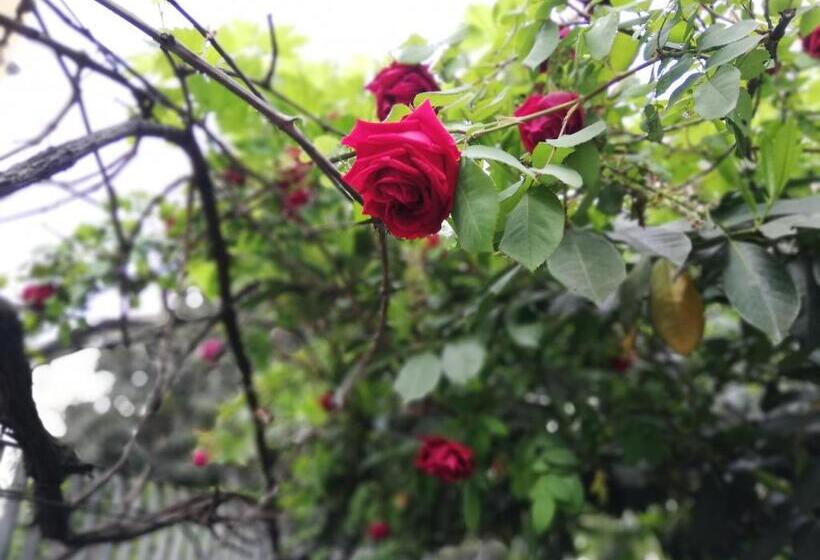 酒店 Villamelchiorre 1