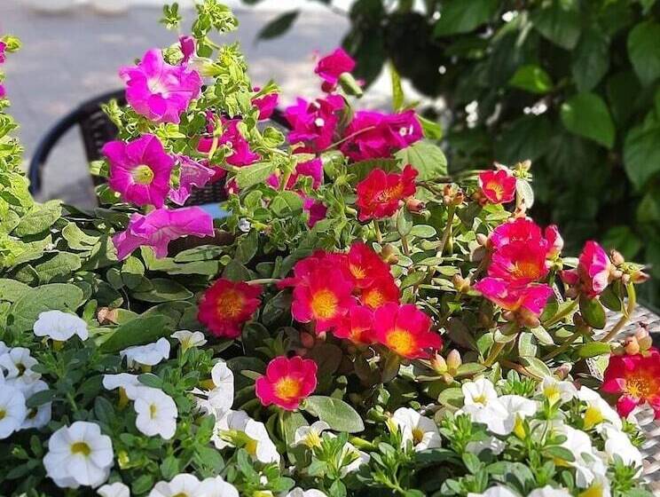 酒店 Villetta Del Salento Exclusive B&b