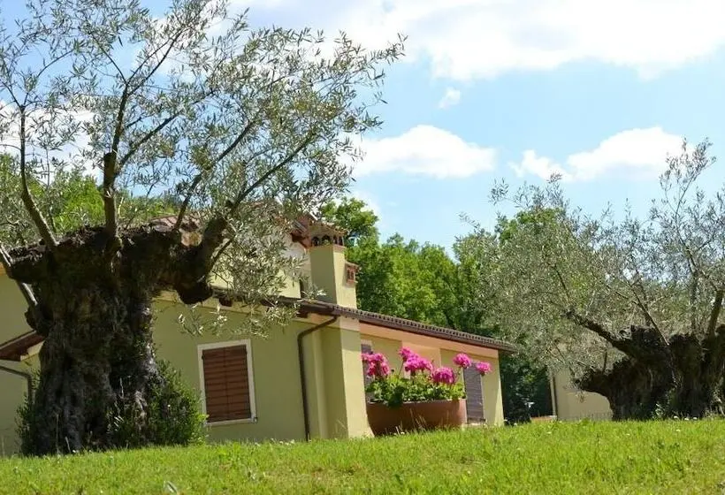 Valle Rosa