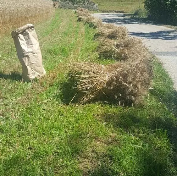 هتل Agriturismo Marco
