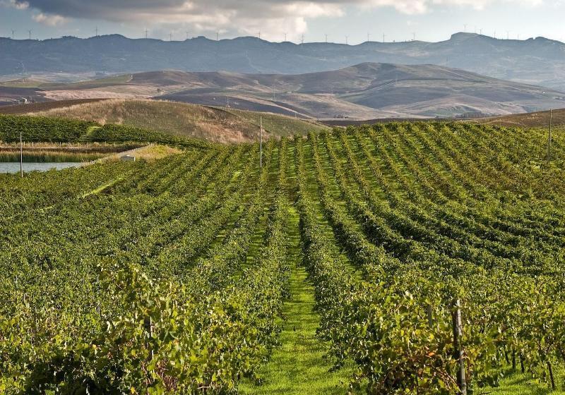 ホテル Agriturismo Sirignano Wine Resort