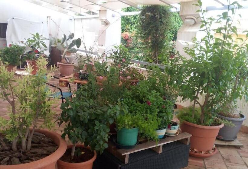 בית מלון כפרי Casasolare Rakalia