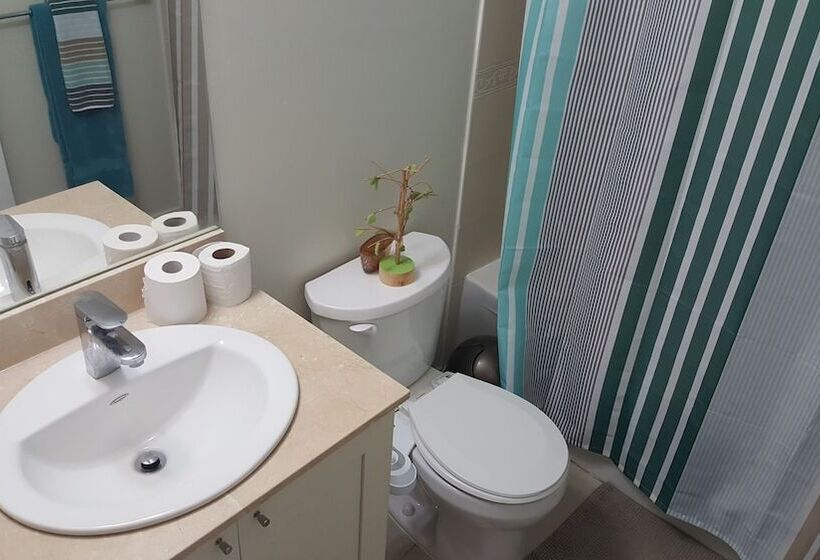 Custom Luxury Suite   By Elite Suites