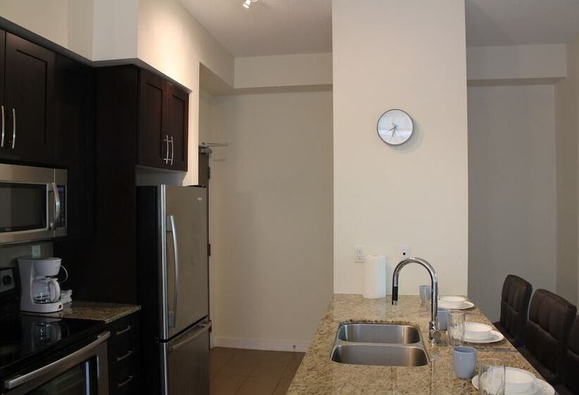 Custom Luxury Suite   By Elite Suites