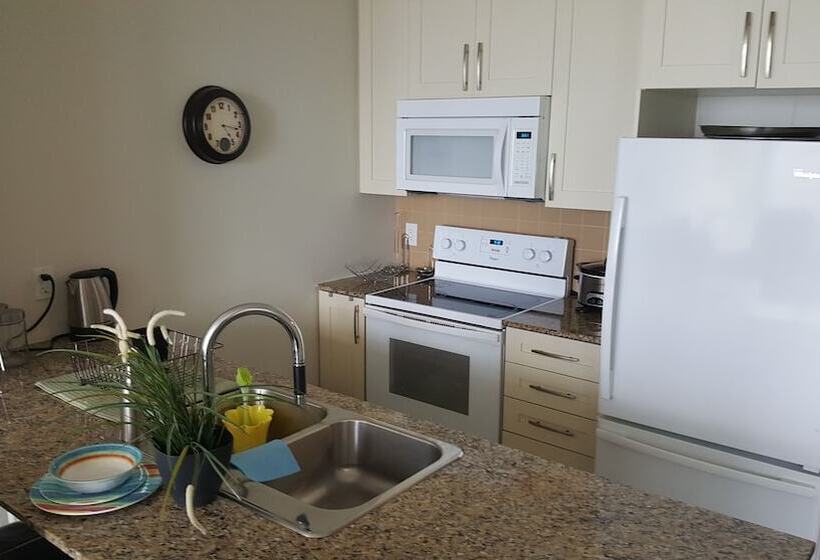 Custom Luxury Suite   By Elite Suites