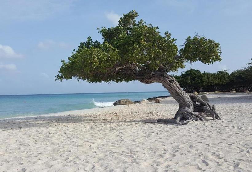 هتل Aruba Apartment