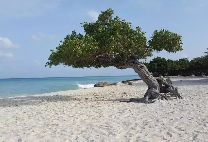 هتل Aruba Apartment