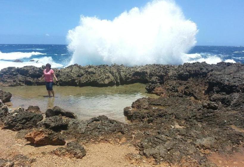 هتل Aruba Apartment