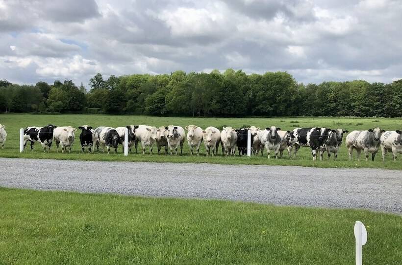 هتل Ferme Delgueule