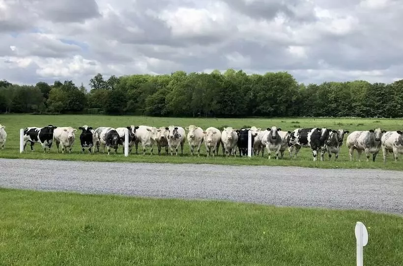 ホテル Ferme Delgueule