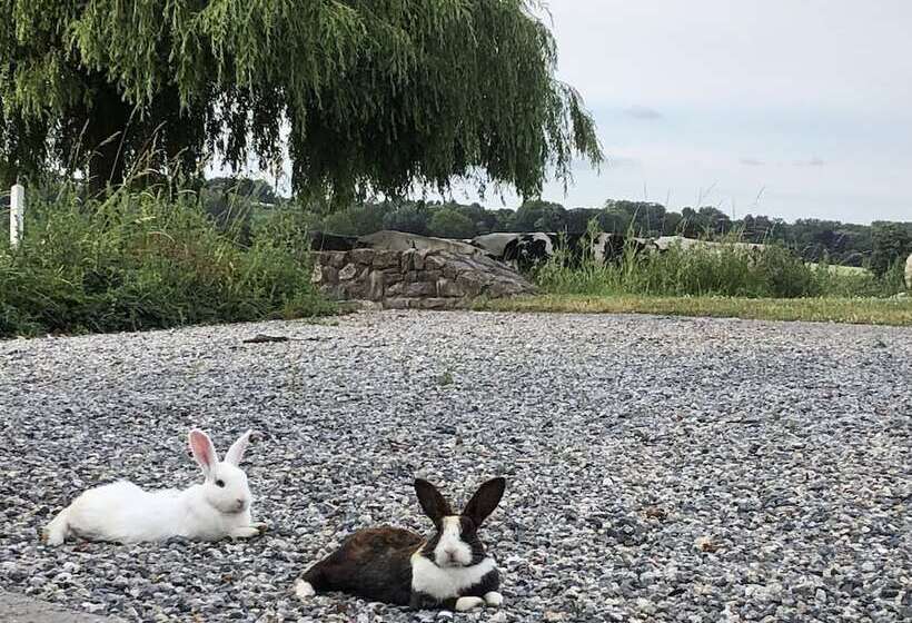 هتل Ferme Delgueule