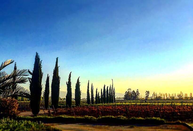 هتل Viña La Playa