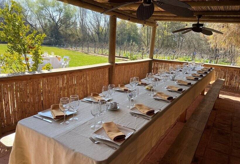 هتل Viña La Playa