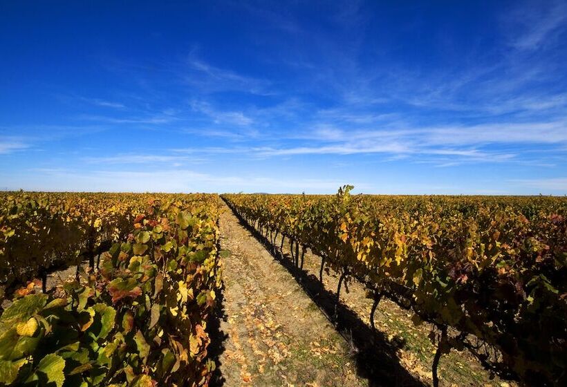 هتل Viña La Playa