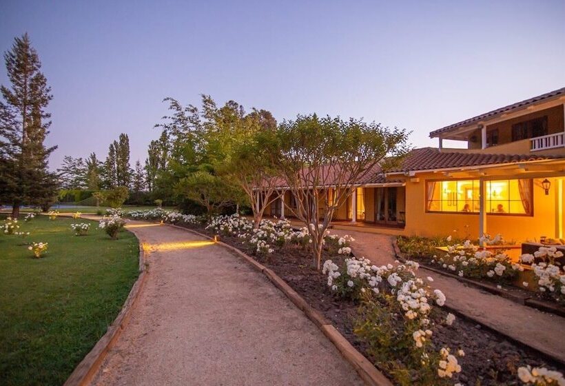 هتل Viña La Playa