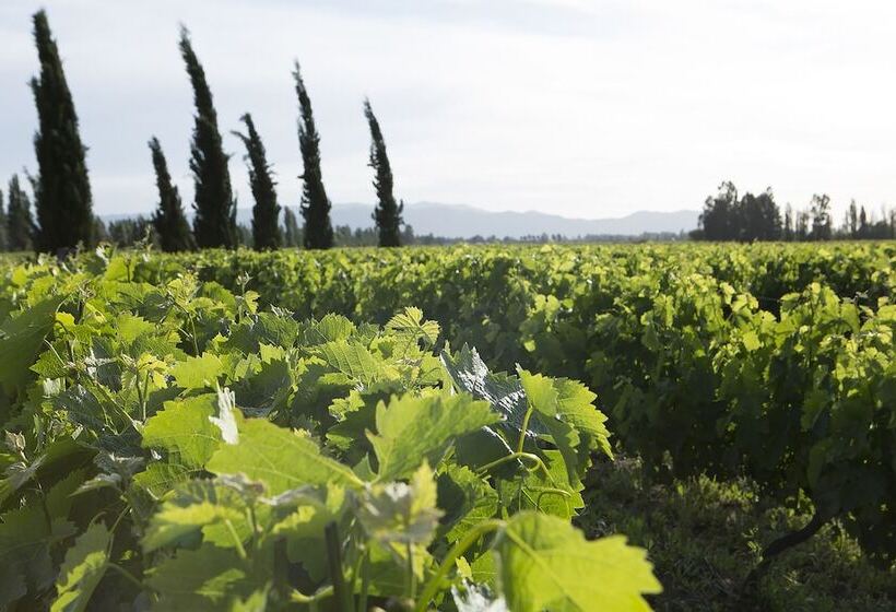 هتل Viña La Playa
