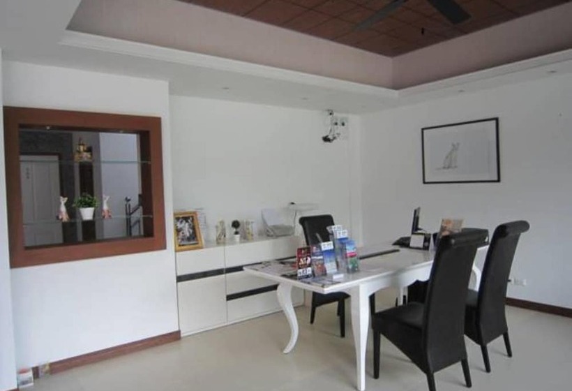 Отель White Cat