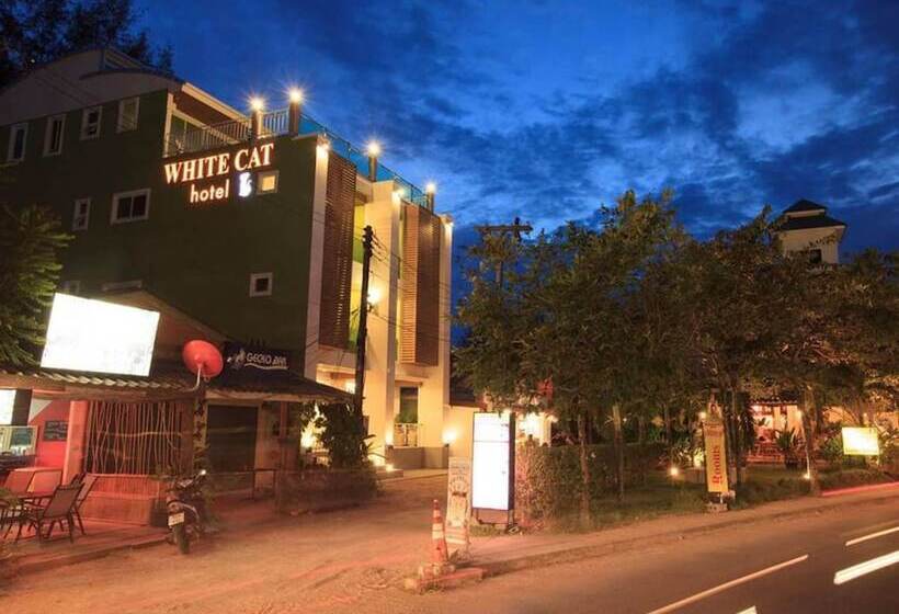 Отель White Cat