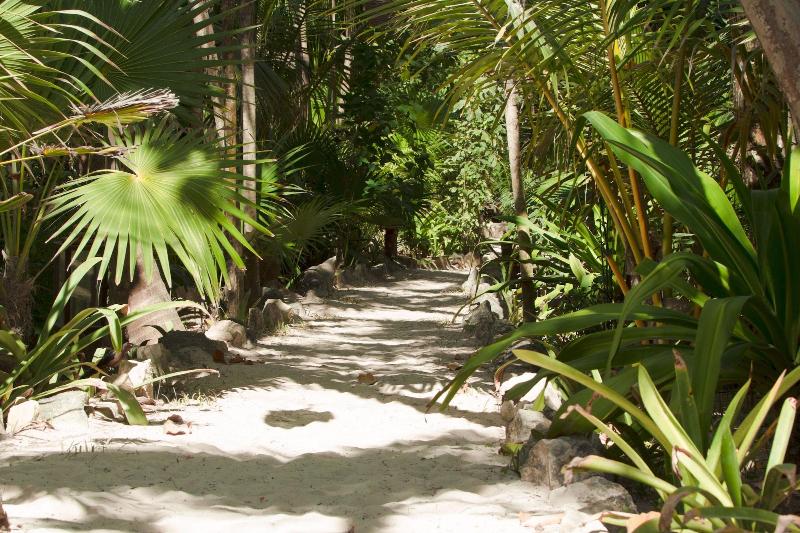 فندق Dos Ceibas Tulum Feel Good