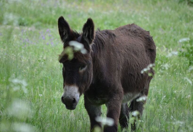 Сельский отель Rural Luna Llena