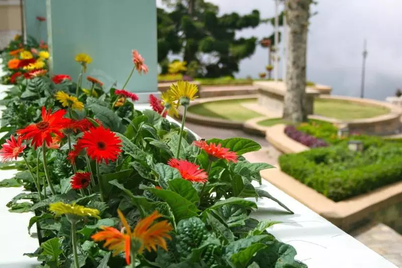 ホテル The Regency Jerai Hill Resort