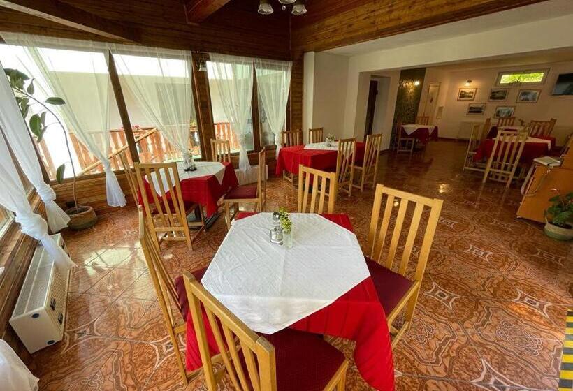 تختخواب و صبحانه Pensiunea Olt Centrum/ Olt Centrum Panzió