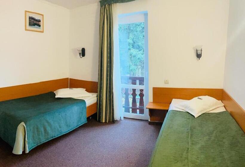 تختخواب و صبحانه Pensiunea Olt Centrum/ Olt Centrum Panzió