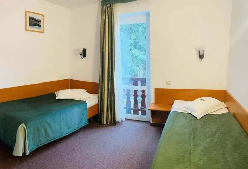 ベッドアンドブレックファースト Pensiunea Olt Centrum/ Olt Centrum Panzió