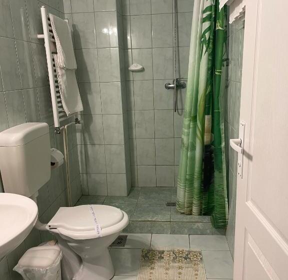 تختخواب و صبحانه Pensiunea Olt Centrum/ Olt Centrum Panzió