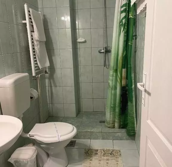 ベッドアンドブレックファースト Pensiunea Olt Centrum/ Olt Centrum Panzió