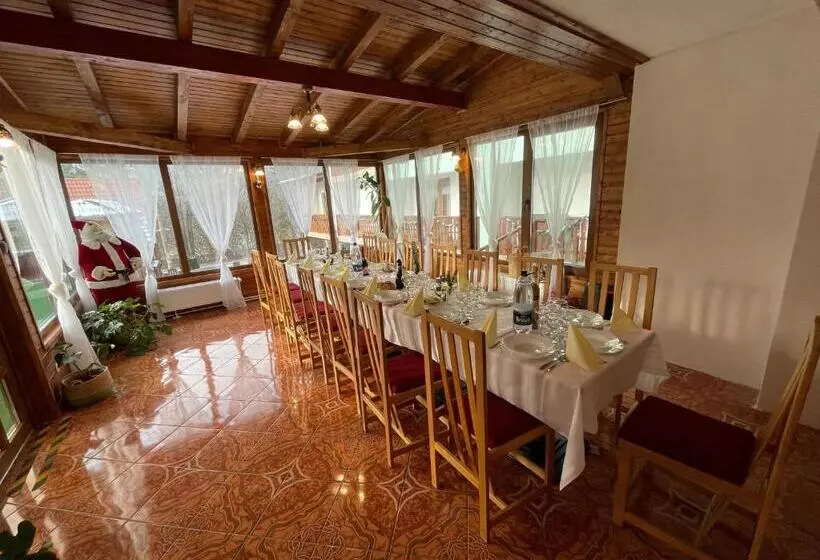 ベッドアンドブレックファースト Pensiunea Olt Centrum/ Olt Centrum Panzió