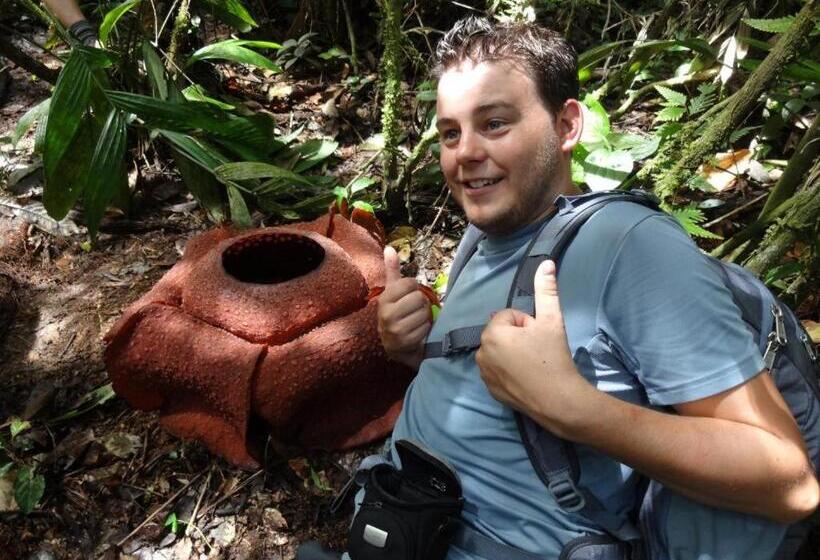 Netasha Holiday Inn And Apartment