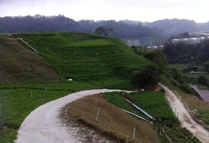 Netasha Holiday Inn And Apartment