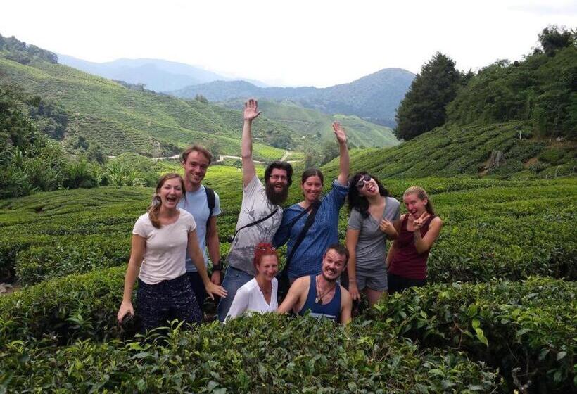 Netasha Holiday Inn And Apartment