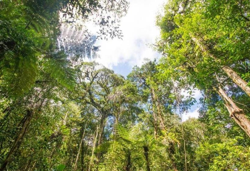 Netasha Holiday Inn And Apartment