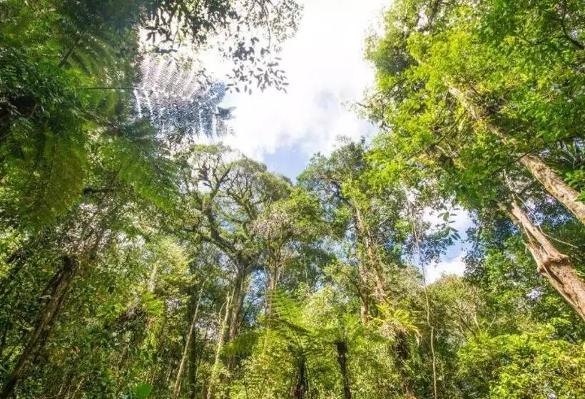 Netasha Holiday Inn And Apartment