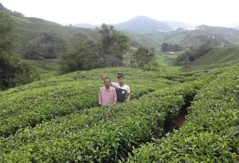 Netasha Holiday Inn And Apartment