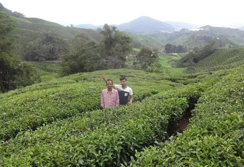 Netasha Holiday Inn And Apartment