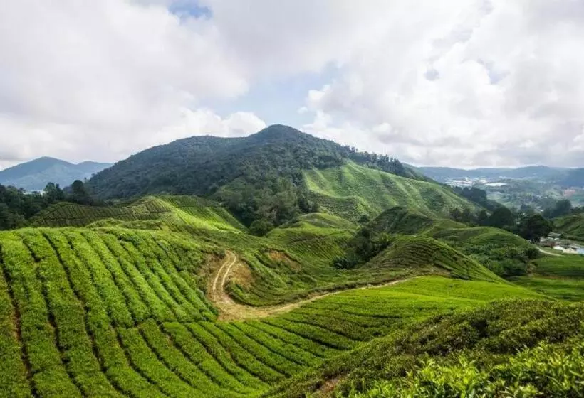 Netasha Holiday Inn And Apartment