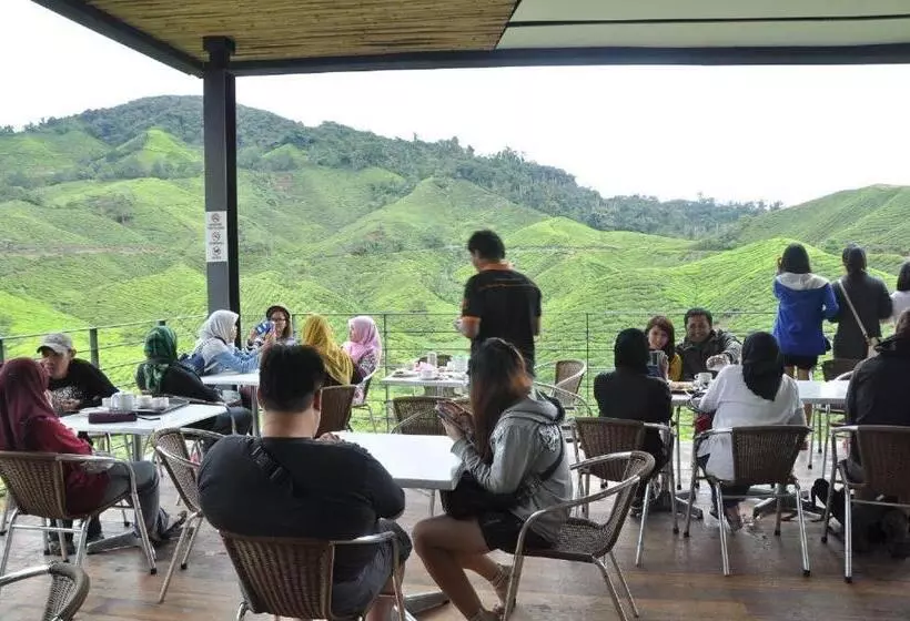 Netasha Holiday Inn And Apartment