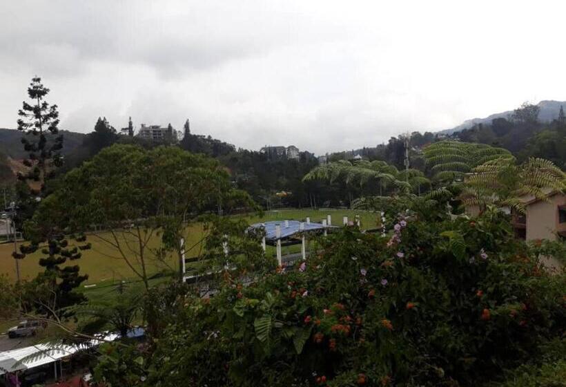 Netasha Holiday Inn And Apartment