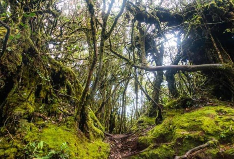 Netasha Holiday Inn And Apartment