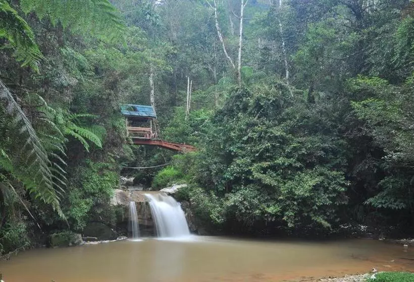 Netasha Holiday Inn And Apartment